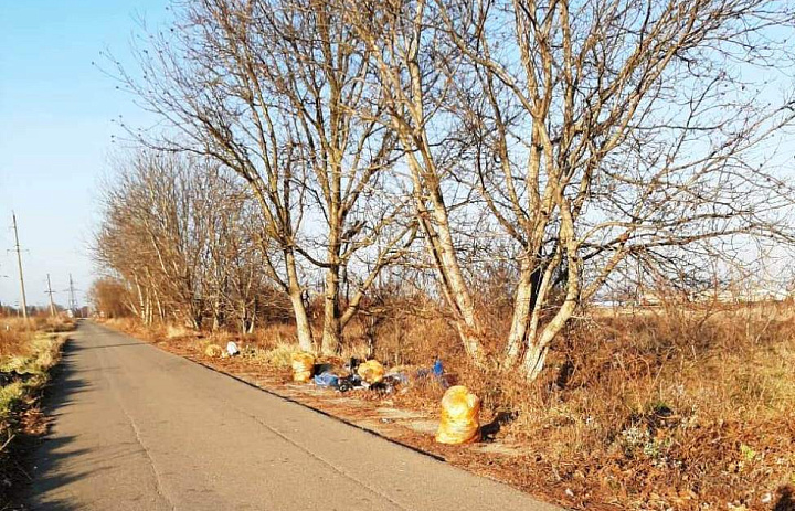 Ликвидированы две несанкционированные свалки