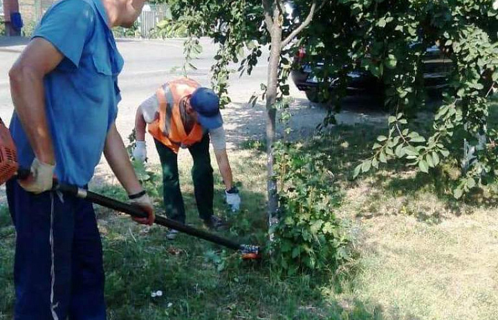 Обрезка деревьев