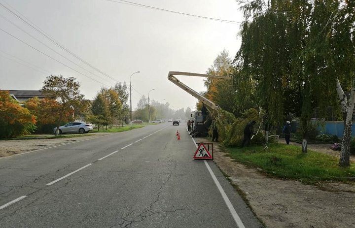 Плановые работы по спилу и обрезке аварийных деревьев