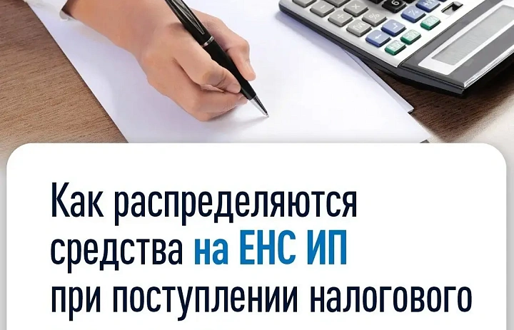 Как распределяются средства на ЕНС предпринимателей при поступлении налогового уведомления на уплату имущественных налогов физических лиц?