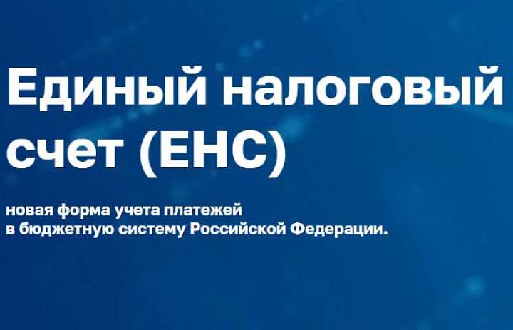 Разобраться с уплатой налогов на ЕНС поможет специальный сервис ФНС