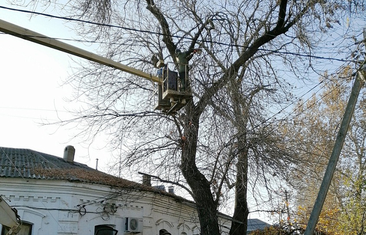 Обрезка аварийных деревьев