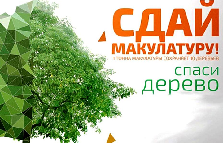 Сдай макулатуру – спаси дерево!